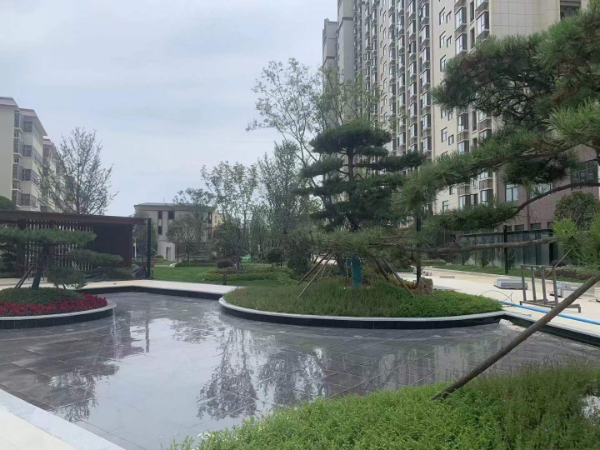怡景学苑工抵房